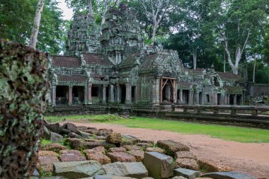 Ta Prohm, Angkor Wat