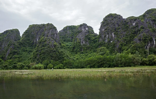 Nono binh — Fotografia de Stock