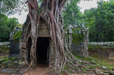 Angkor wat