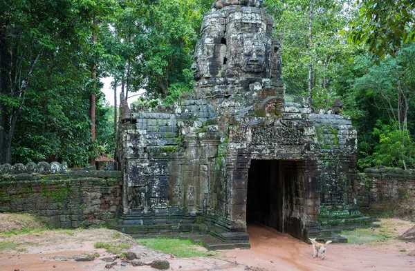 Ангкор-Ват — стоковое фото