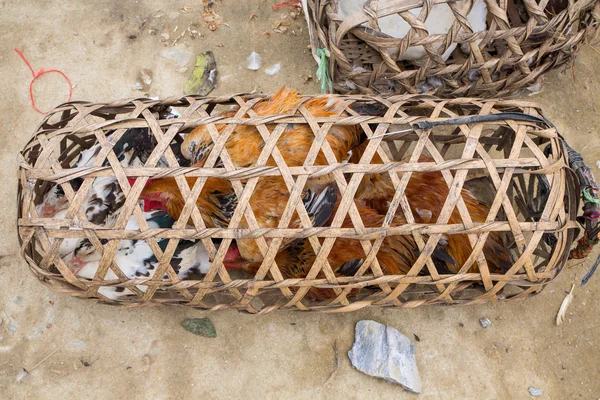 Rooster sale — Stock Photo, Image