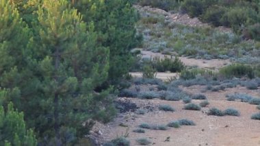 İşaretçi çalışan önden görünümü