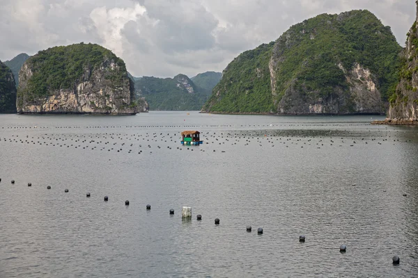 Bahía de Halong, Vietnam — Foto de Stock