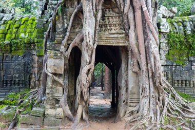 Angkor wat