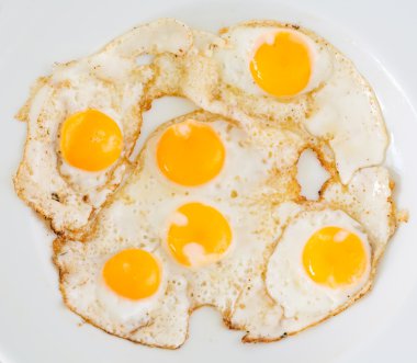 bıldırcın yumurtası