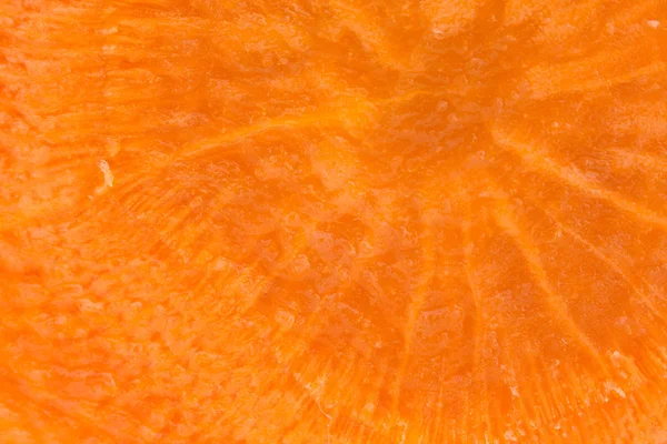Karotten-Hintergrund — Stockfoto