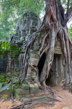 Angkor wat