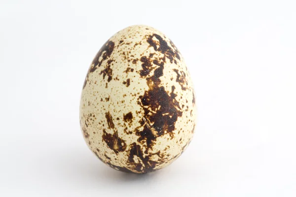 Uovo di quaglia su bianco — Foto Stock