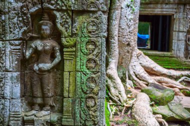 ta prohm kabartma