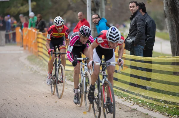 Cyclocross — Stock Photo, Image