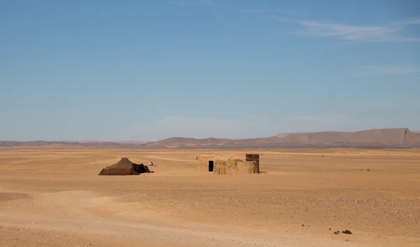 Tente bédouine dans le désert — Photo