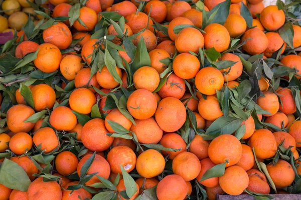 Mandarin background — Stock Photo, Image