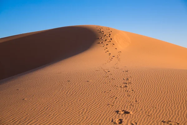 Duna en Marruecos — Foto de Stock