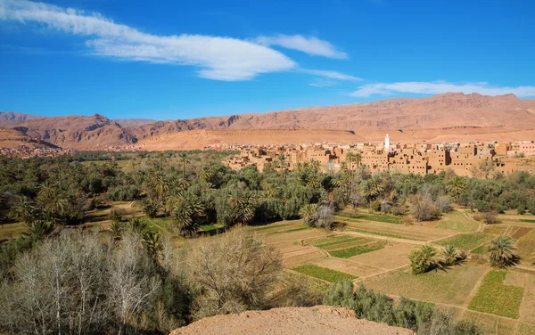 Todra gorges vidvinkel — Stockfoto