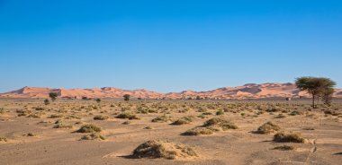 dunes sonu