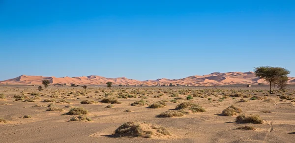 Het einde van duinen — Stockfoto