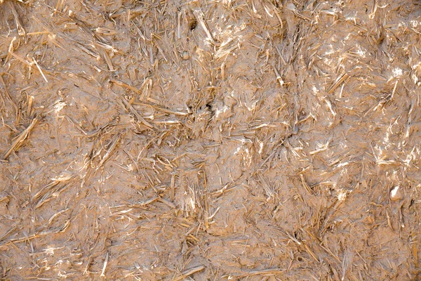 adobe duvar arka plan yaptı