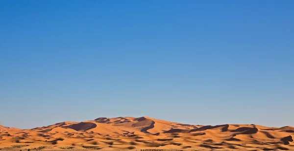 Caravana de camelo — Fotografia de Stock