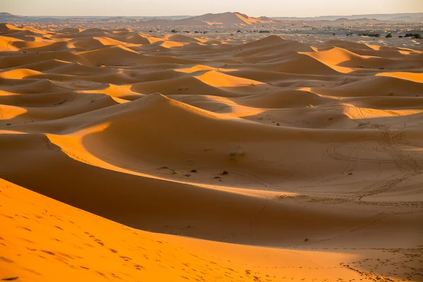 Skyline of dunes — Stock Photo, Image