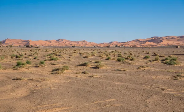 Het einde van duinen — Stockfoto