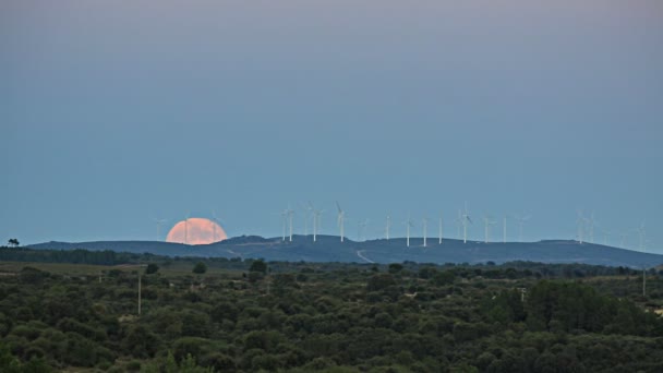 Luna llena sobre molinos de viento — Vídeos de Stock