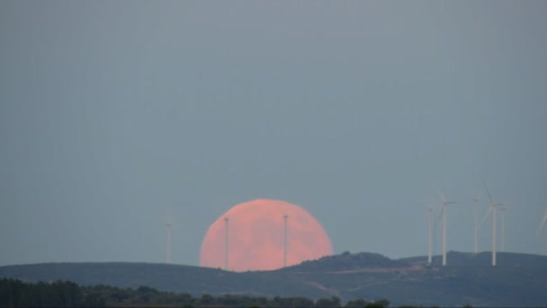 Luna llena subiendo sobre los molinos de viento — Vídeos de Stock