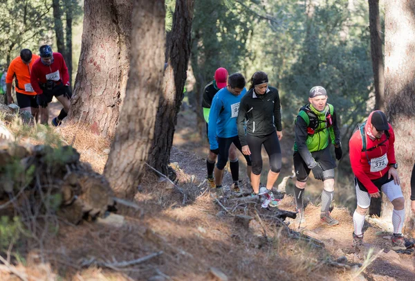 Duro maratón carrera de montaña, escalada — Foto de Stock