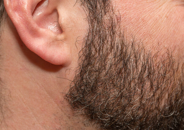 Щетина с седыми волосами
