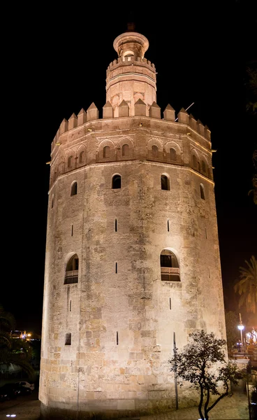 The Golden Tower — Stock Photo, Image