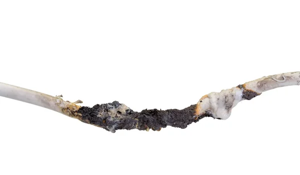 Сожженный кабель — стоковое фото