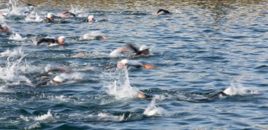 önde gelen yüzücüler