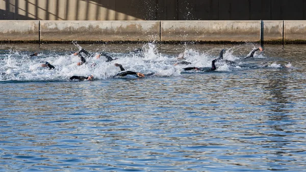 Önde gelen yüzücüler — Stok fotoğraf