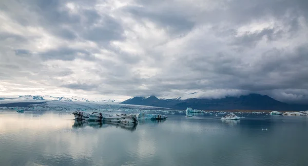 Blue icebergs floating — Stock Photo, Image