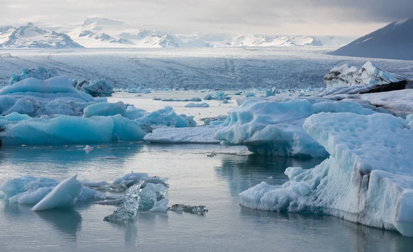 Iceberg blu galleggianti — Foto Stock