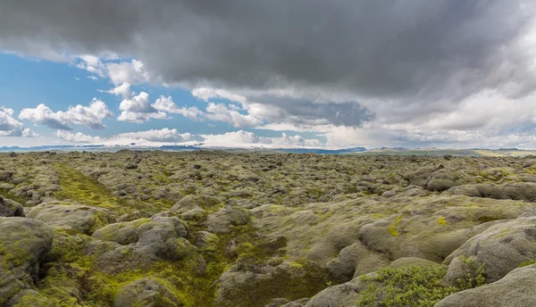 Moosbewachsene Lavafelder — Stockfoto