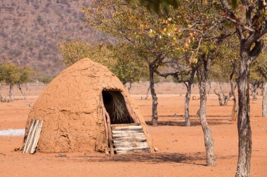 himba insanlar geleneksel kulübeleri