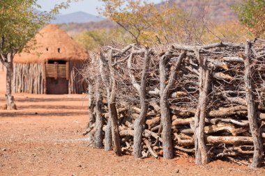 himba insanlar geleneksel kulübeleri