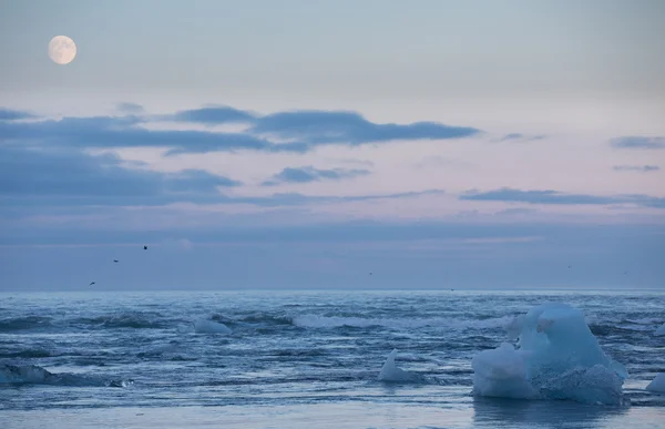 Icebergs azuis e mar — Fotografia de Stock