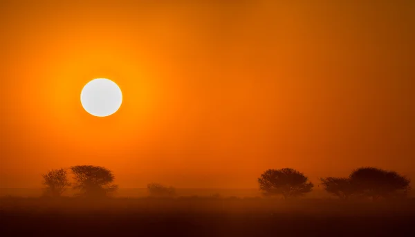 Beau coucher de soleil africain — Photo
