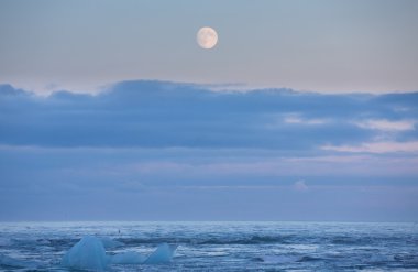 Blue icebergs and sea