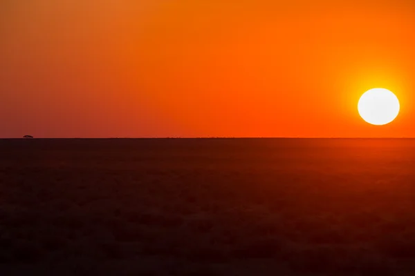 Piękny zachód słońca Afryki — Zdjęcie stockowe
