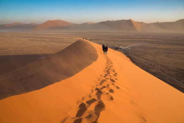 Big dune and tourists — Stock Photo, Image