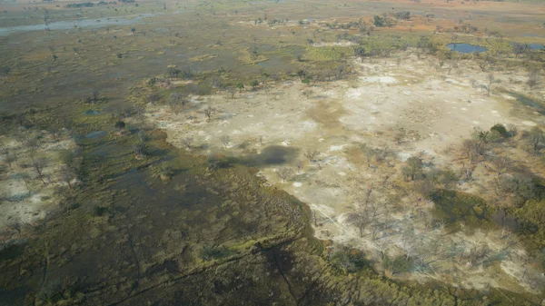 Okavango delta — Stock Photo, Image