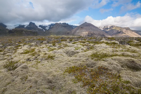 Mosstäckta lavafält — Stockfoto