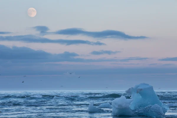 Blå isberg i beach — Stockfoto