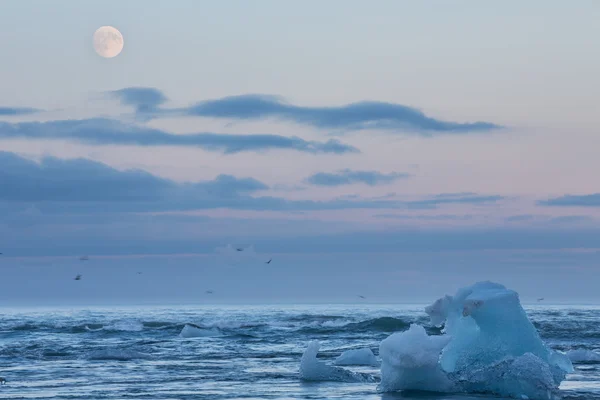 Blauwe ijsbergen in het strand — Stockfoto