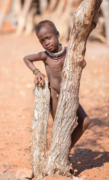 Himba bambini — Foto Stock