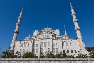 Mavi Cami, İstanbul, Türkiye