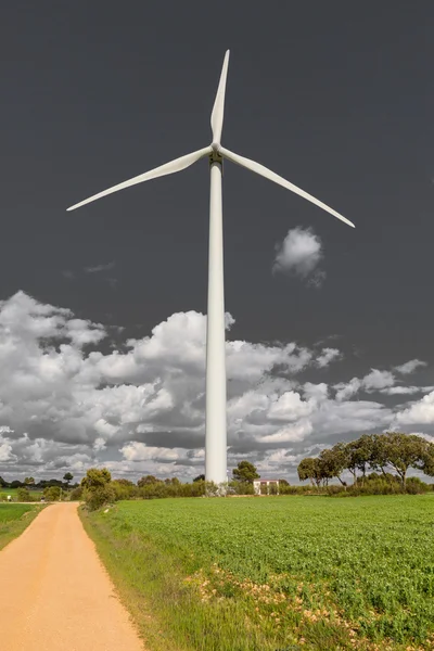 Turbina eólica — Foto de Stock