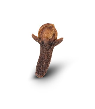 Kuru karanfil beyaz izole